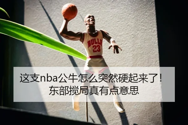 这支nba公牛怎么突然硬起来了！东部搅局真有点意思 | leyu