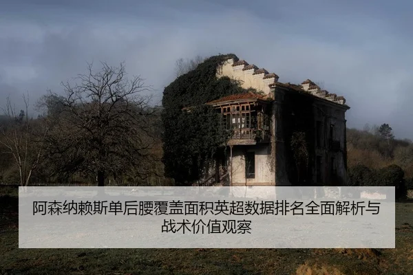 阿森纳赖斯单后腰覆盖面积英超数据排名全面解析与战术价值观察