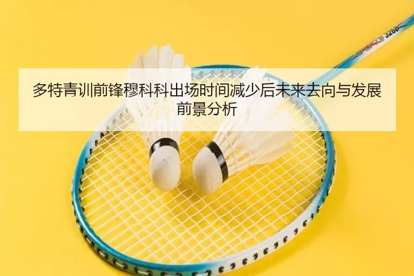 多特青训前锋穆科科出场时间减少后未来去向与发展前景分析