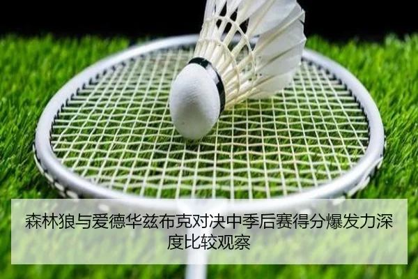 森林狼与爱德华兹布克对决中季后赛得分爆发力深度比较观察