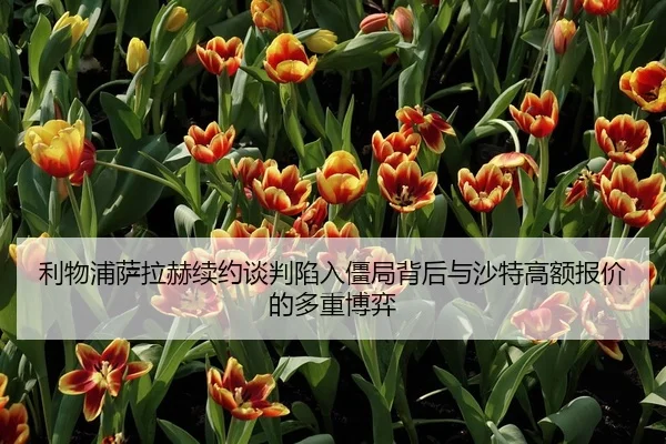 利物浦萨拉赫续约谈判陷入僵局背后与沙特高额报价的多重博弈
