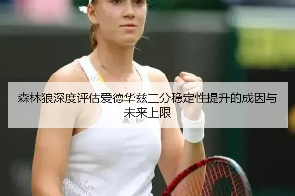 森林狼深度评估爱德华兹三分稳定性提升的成因与未来上限